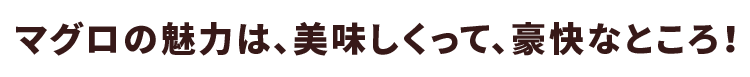 マグロの魅力は、美味しくって、豪快なところ！